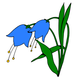 Flower 150