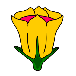 Flower 153