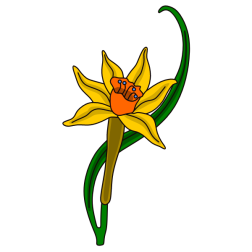 Flower 154