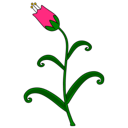 Flower 157