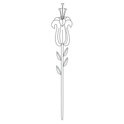 Flower 158