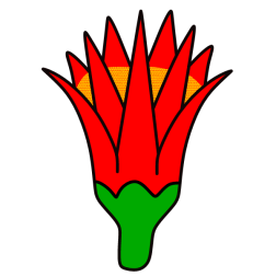 Flower 159