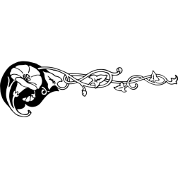 Flower64