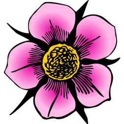 Flower95Colour