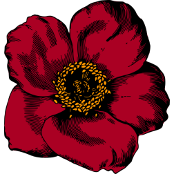 Flower96Colour