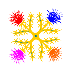 Flowers 10