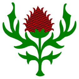 Flowers 15