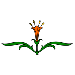 Flowers 17