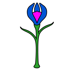 Flowers 19