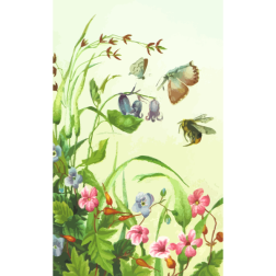 Flowers in nature