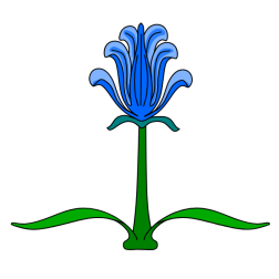 Flowers 24