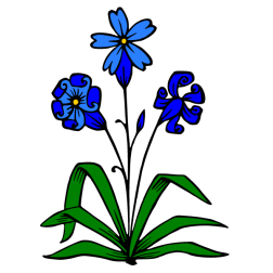Flowers 28