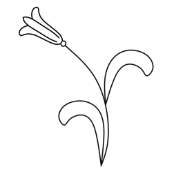 Flowers 33