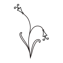 Flowers 34