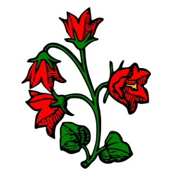 Flowers 37