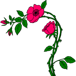 Flowers 4