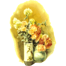 Flowers6