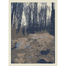 Forest photos from Lichtscheid Wuppertal 2