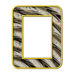 Frame107Linen