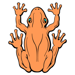 Frog VIII
