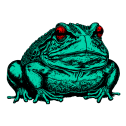 Frog V