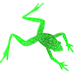 Frog4