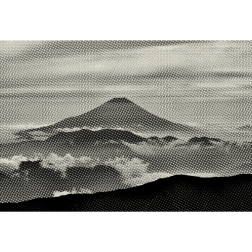 Fuji 4