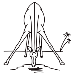 Giraffe 4