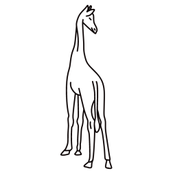 Giraffe 5