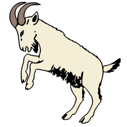 Goat 4