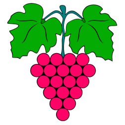 Grapes 25