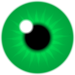 GreenIris