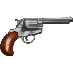 Gun21