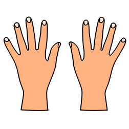 Hands 1