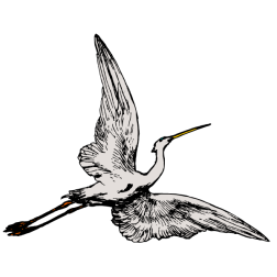 Heron 8