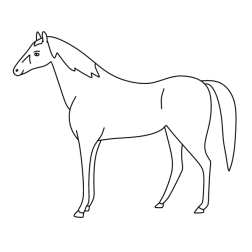 Horse 29