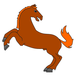 Horse 6