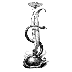 Illustration from books VI