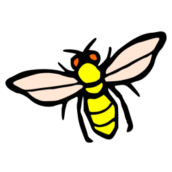 Insect III