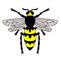Insect V