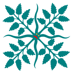 Jumping plant