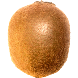 KiwiFruit