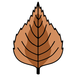 Leaf 12