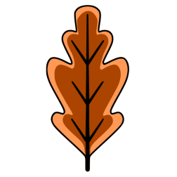 Leaf 13