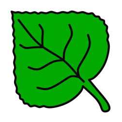 Leaf 15
