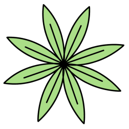 Leaf 6