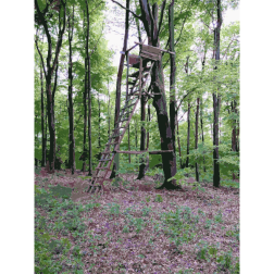 Lichtscheid Forest Again 1 2015071535