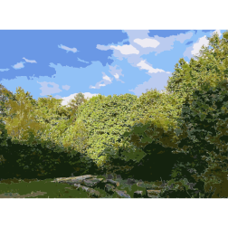 Lichtscheid Forest Again 1 2015071546