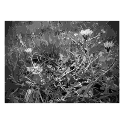 Lichtscheid Forest Again 5 2015071546