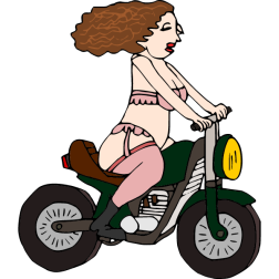 Lingerie biker